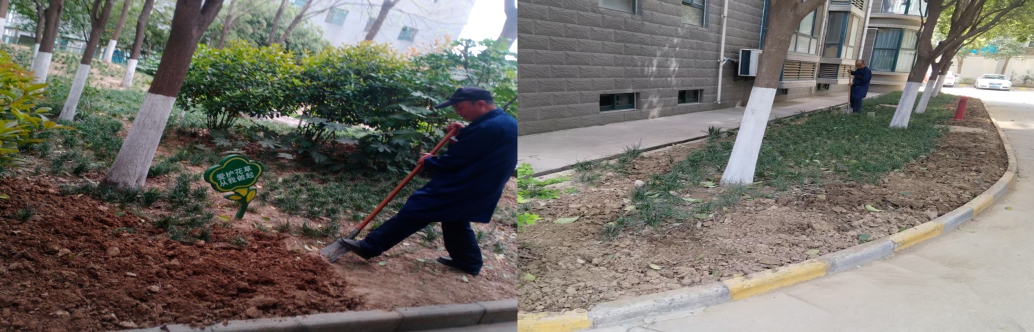 271745735799543501.jpg 圖片1.jpg